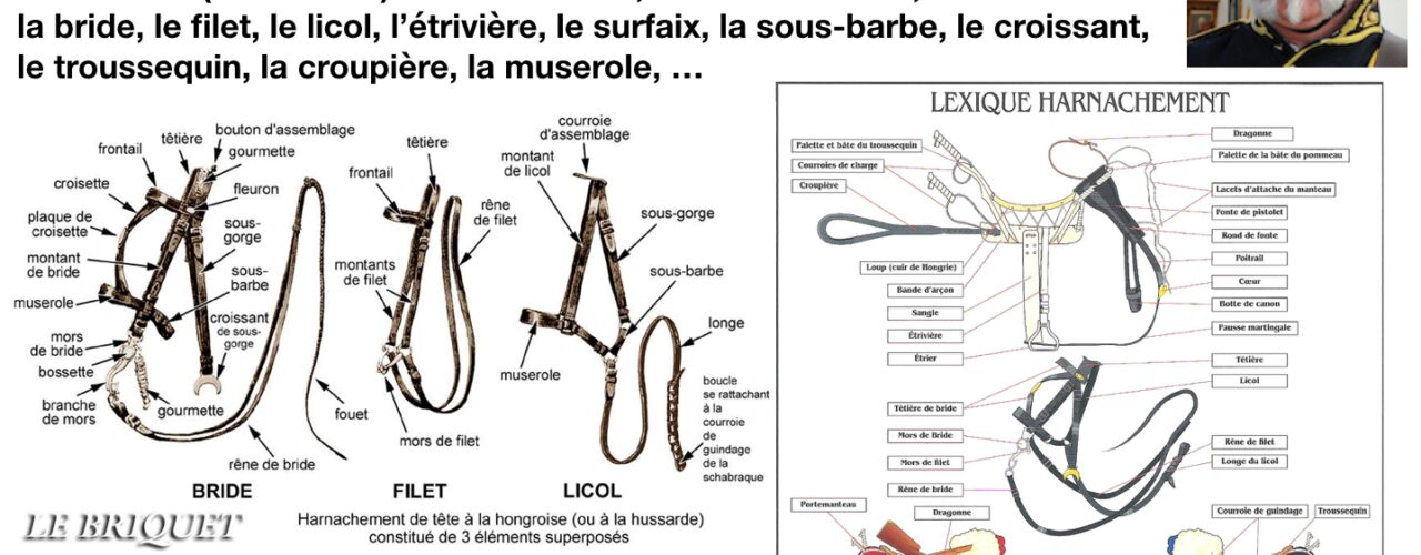 Le harnachement du cheval