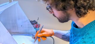 Séance du 29 novembre