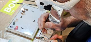 Séance du 28 février